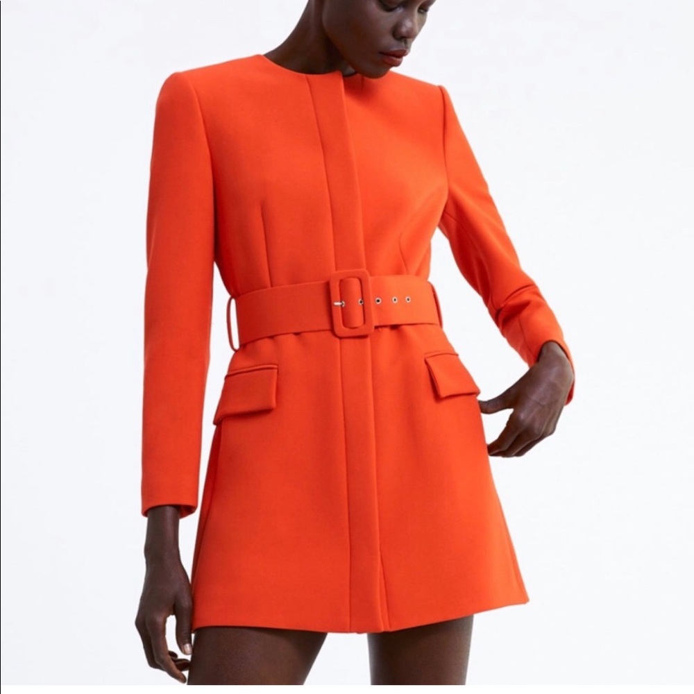 Zara Belted Frock Coat